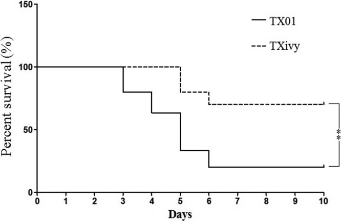 Fig 2