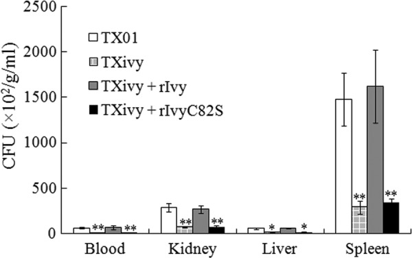 Fig 6