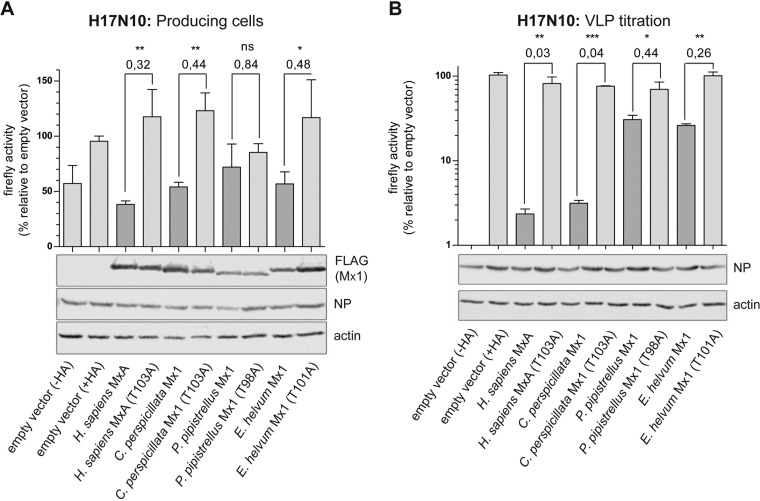 FIG 4