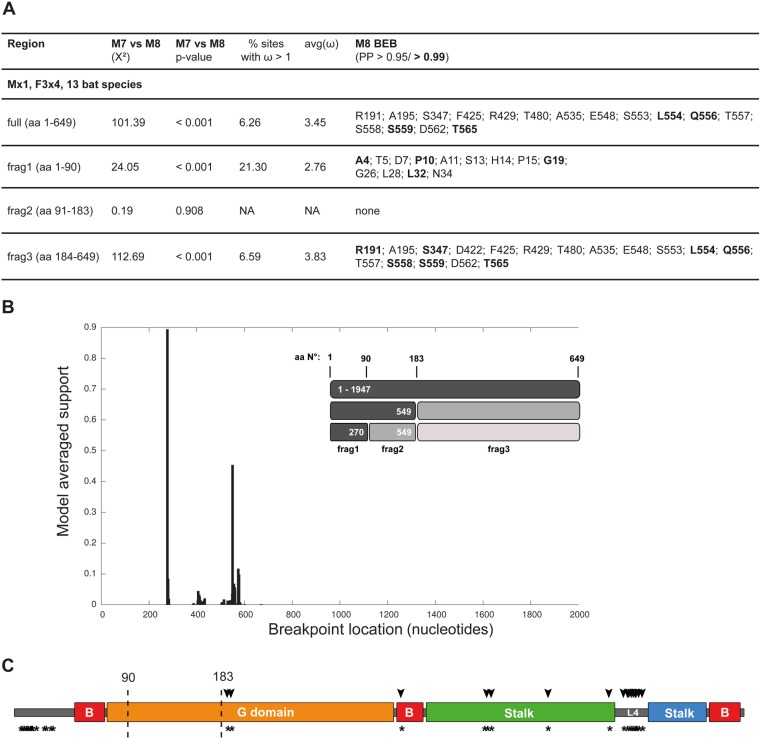 FIG 6