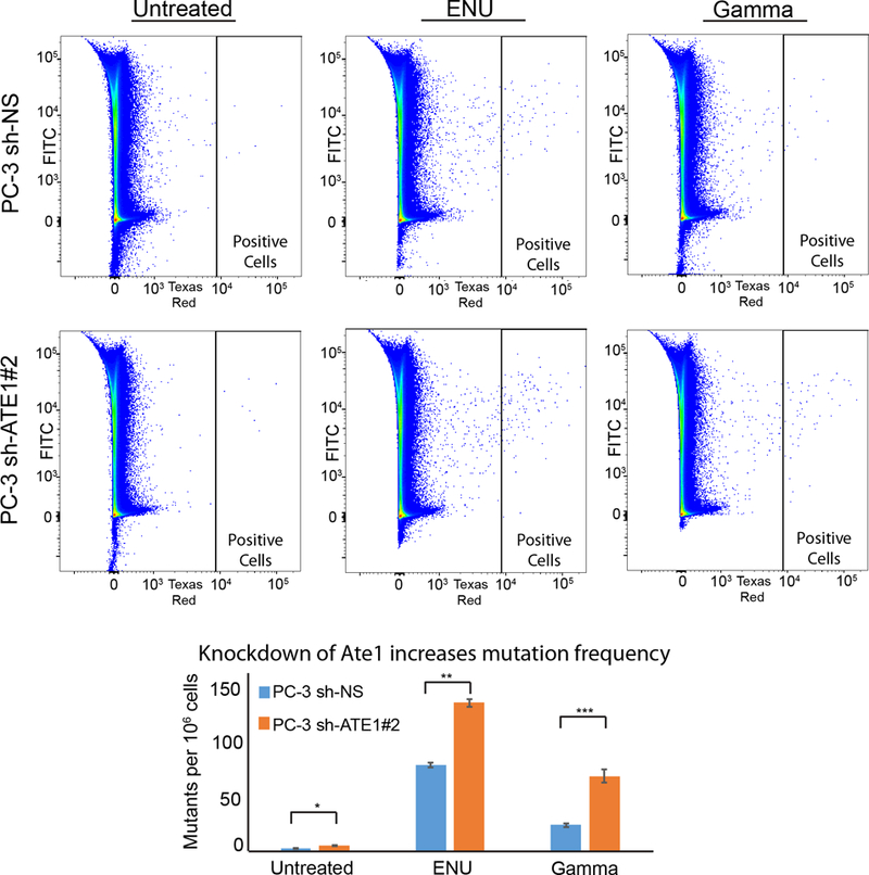 Figure 5: