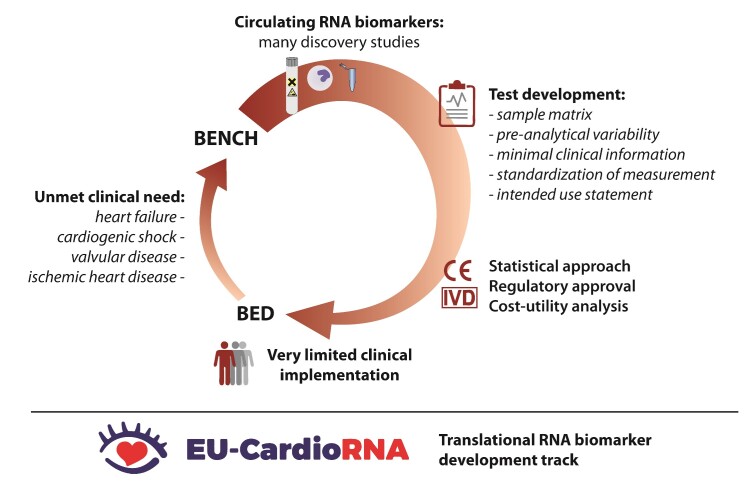 Graphical Abstract