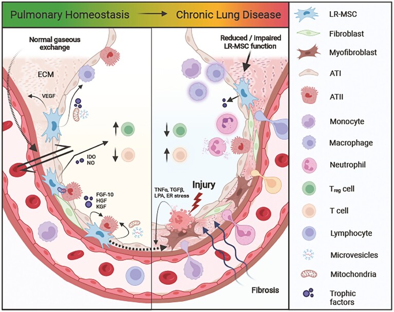 Graphical Abstract