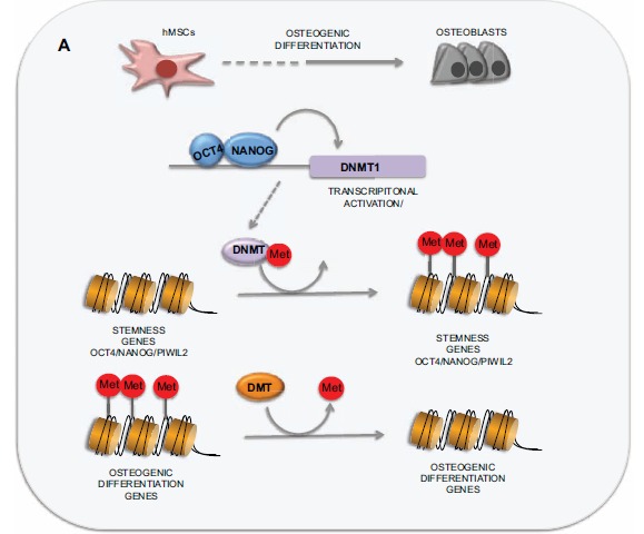 Fig. (5)