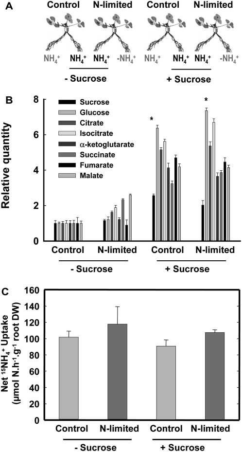 Figure 5.