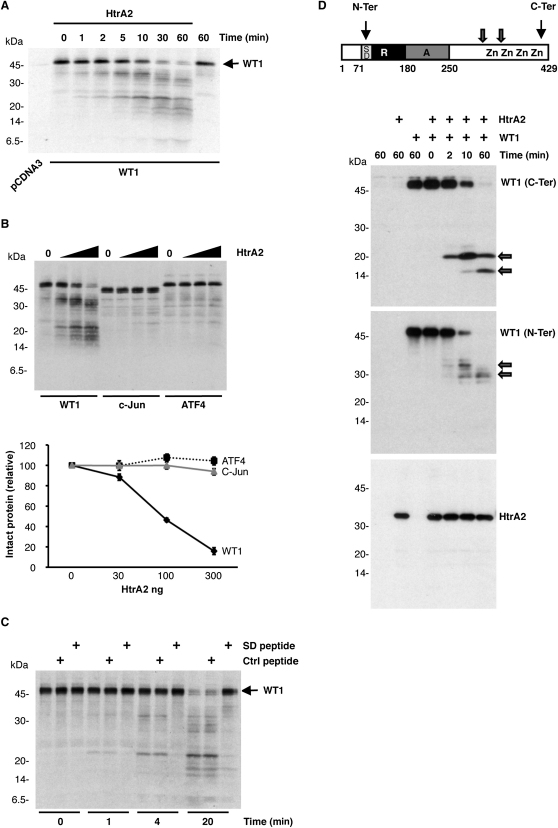 Figure 1