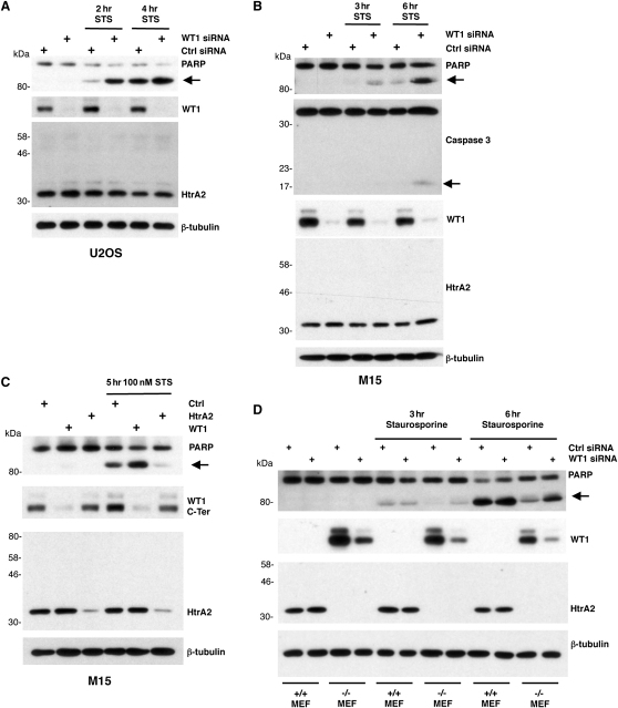 Figure 5