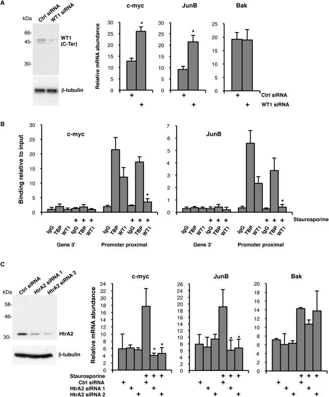 Figure 6