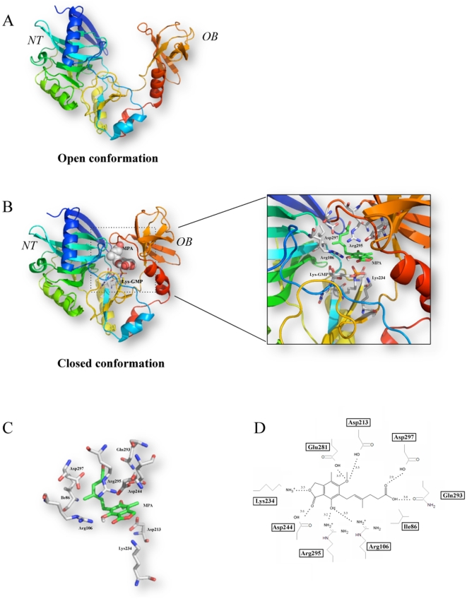 Figure 4