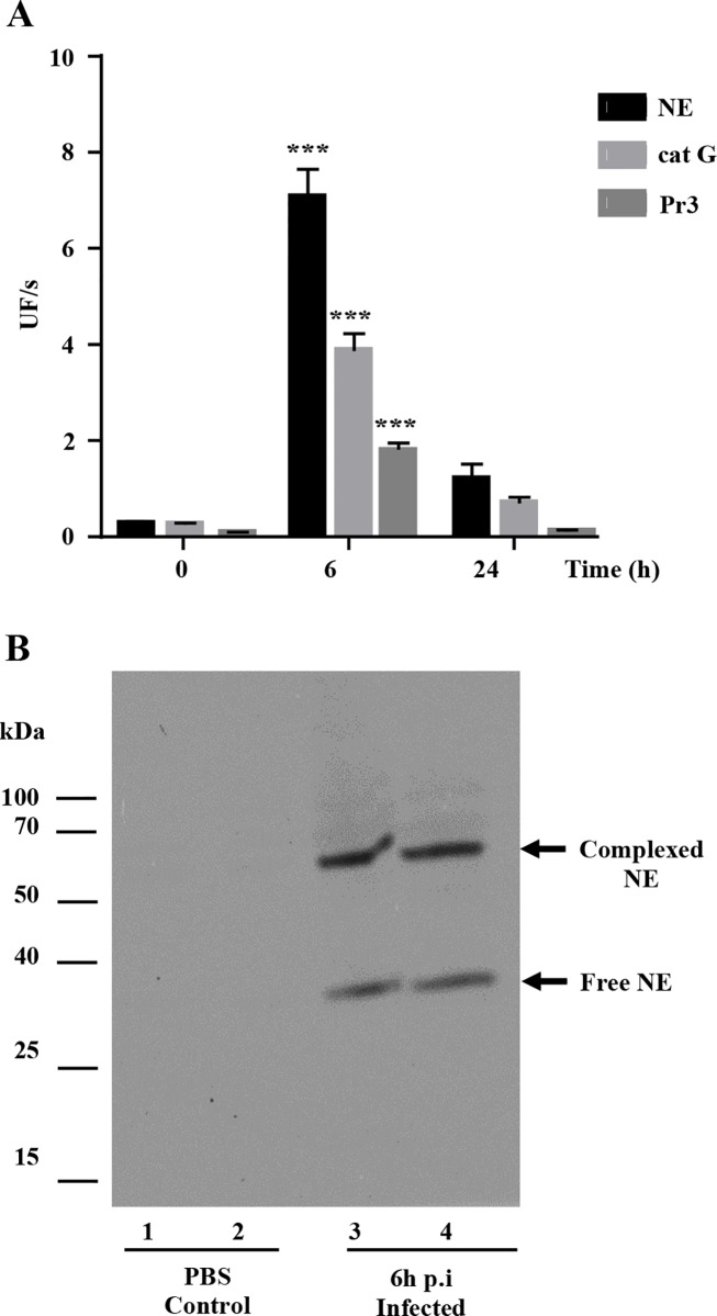 Fig 8