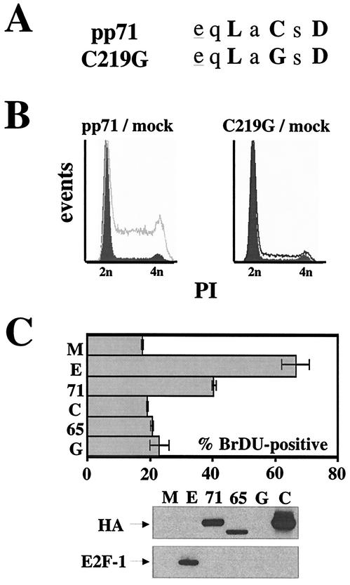 FIG. 5.