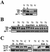 FIG. 7.