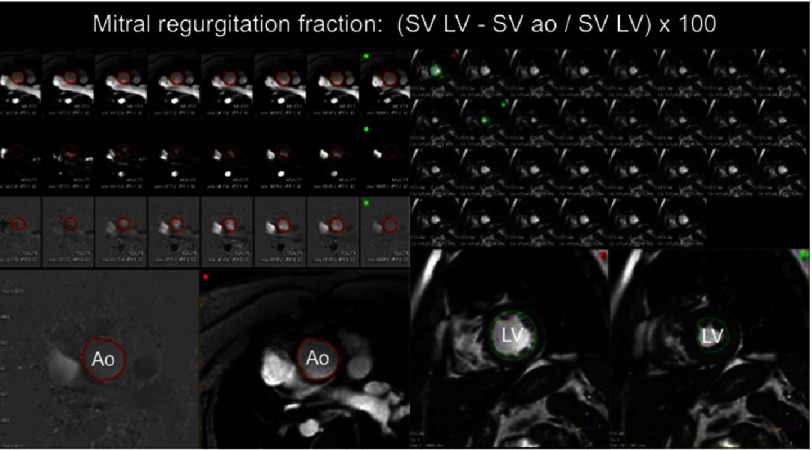 Figure 4.