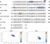 Figure 6—figure supplement 6.