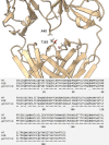 Figure 6—figure supplement 1.