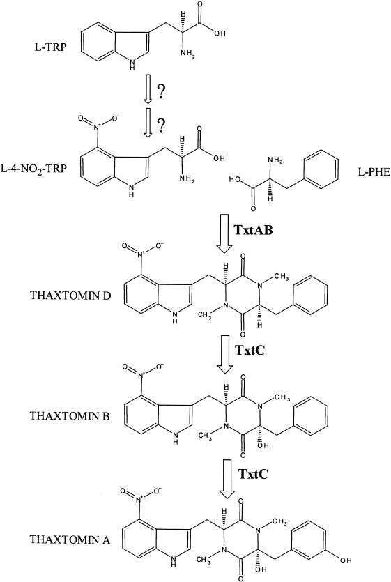 FIG. 8.