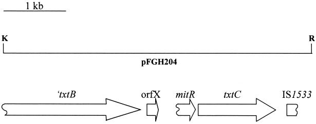 FIG. 1.