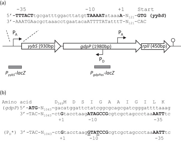 Fig. 1. 