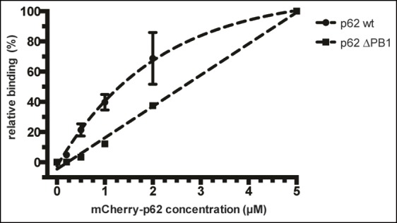 Figure 2—figure supplement 3.