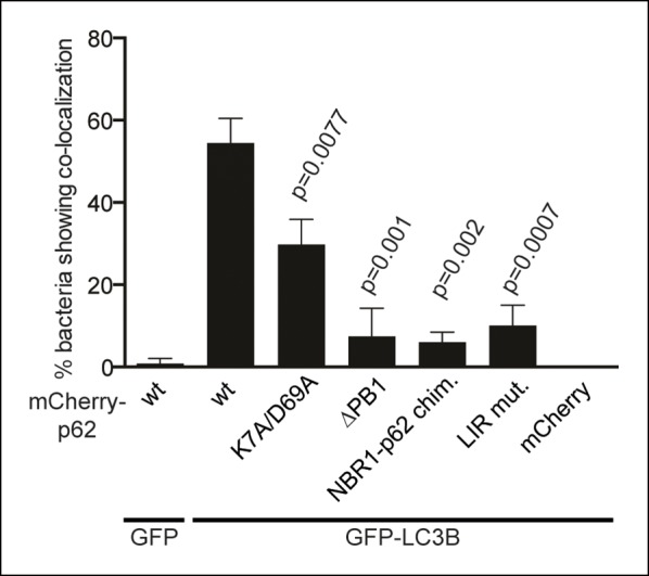 Figure 7—figure supplement 2.