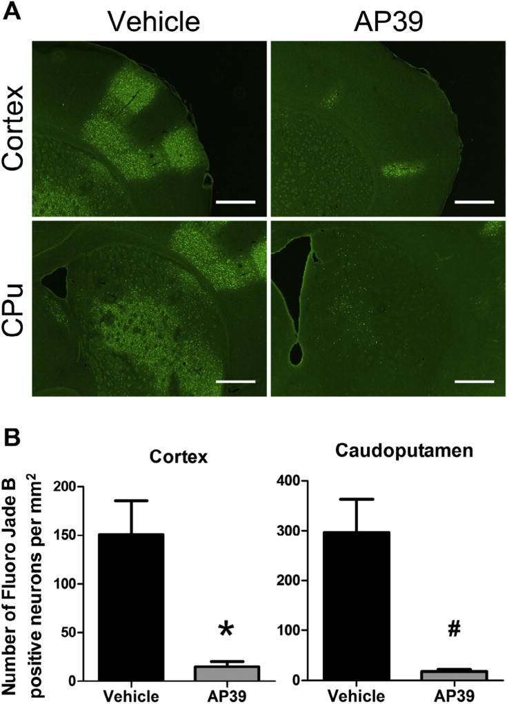 Fig. 3