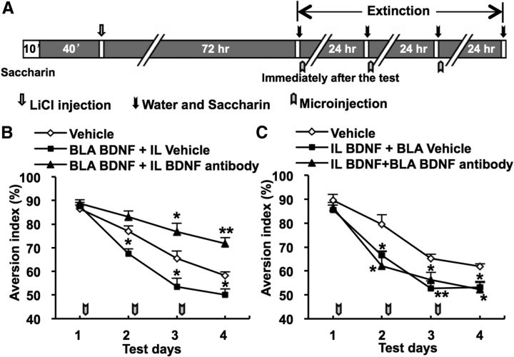 Figure 9.