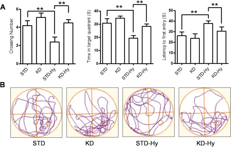 Fig 3