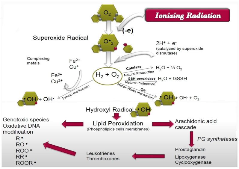 Figure 9