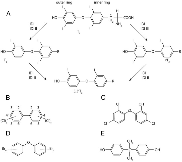 Figure 10.