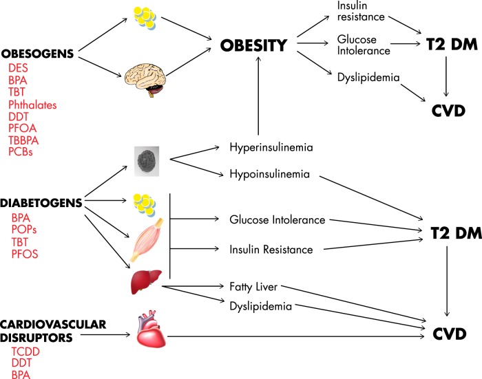 Figure 3.