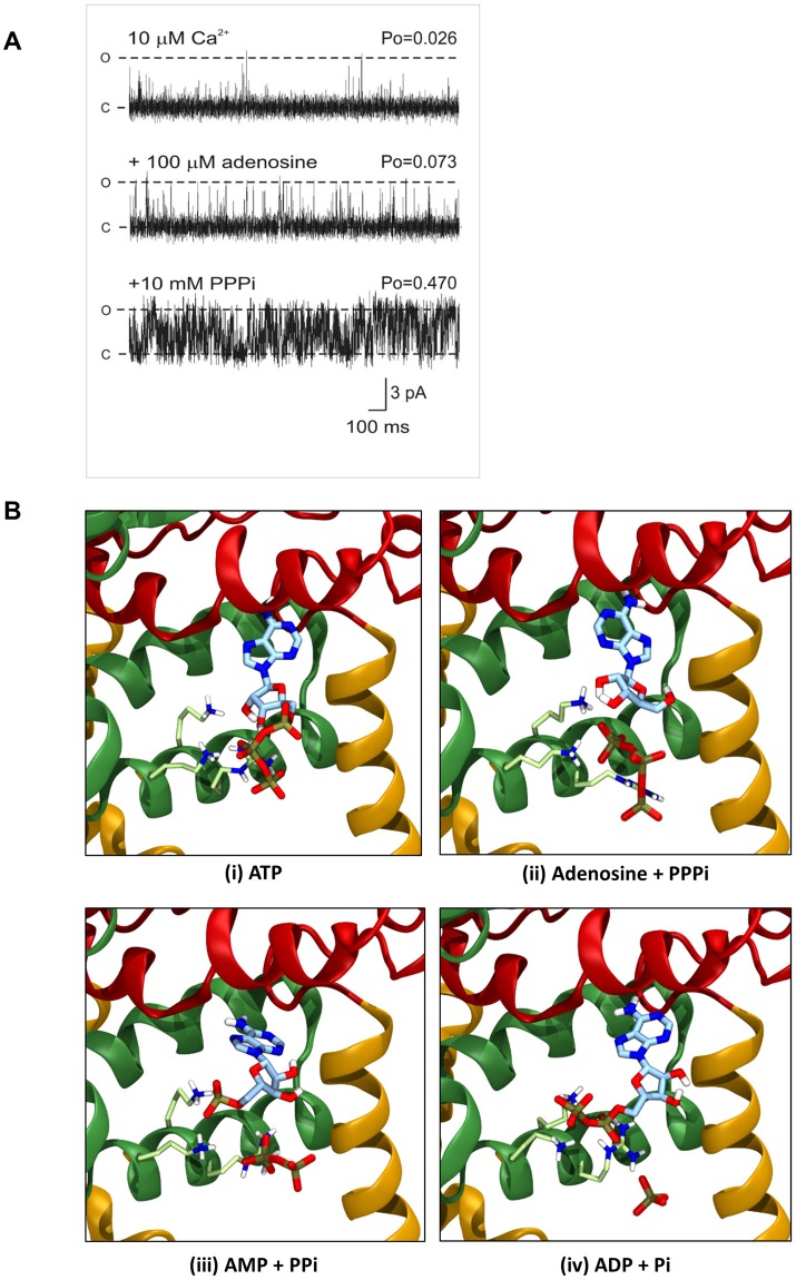 Figure 5