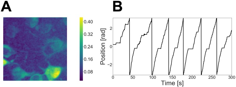 Fig 5