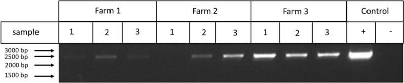 Fig. 3