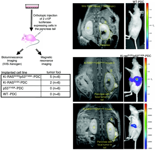 FIG. 6.