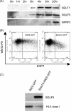 FIG. 1.