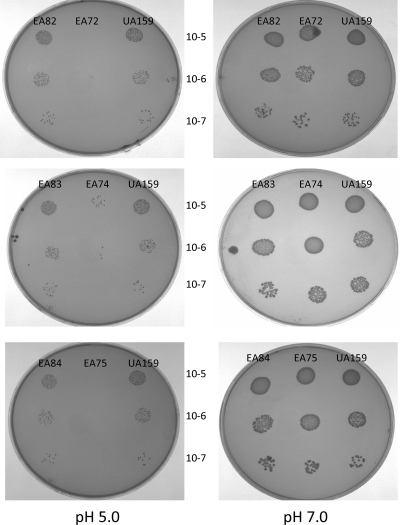 FIG. 2.