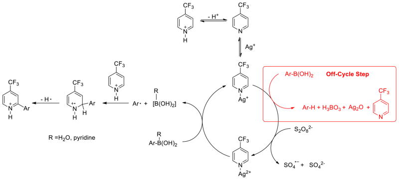 Scheme 3