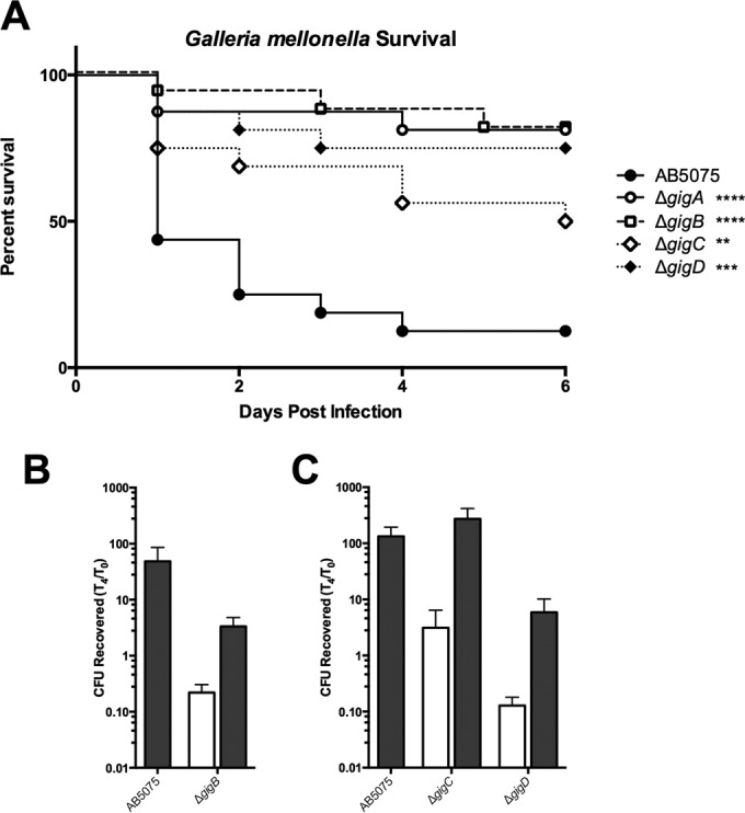 FIG 6 