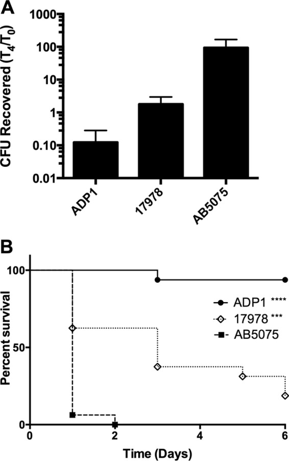 FIG 1 