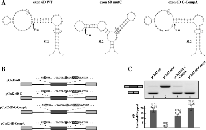 FIG. 6.