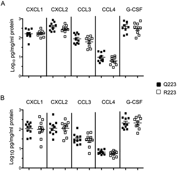 FIG 4 