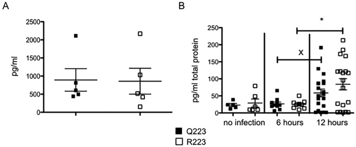 FIG 5 