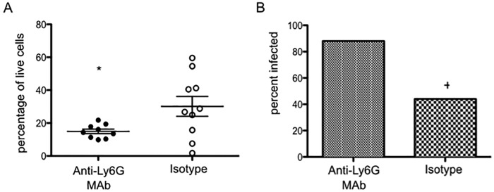 FIG 3 