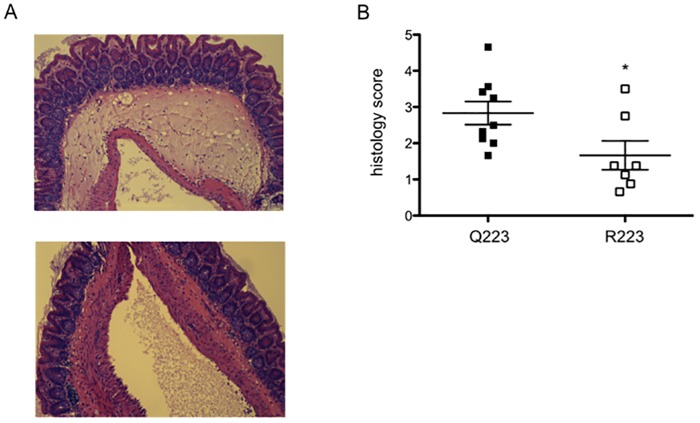 FIG 1 