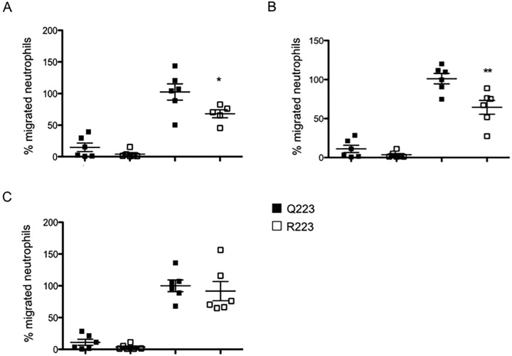 FIG 6 