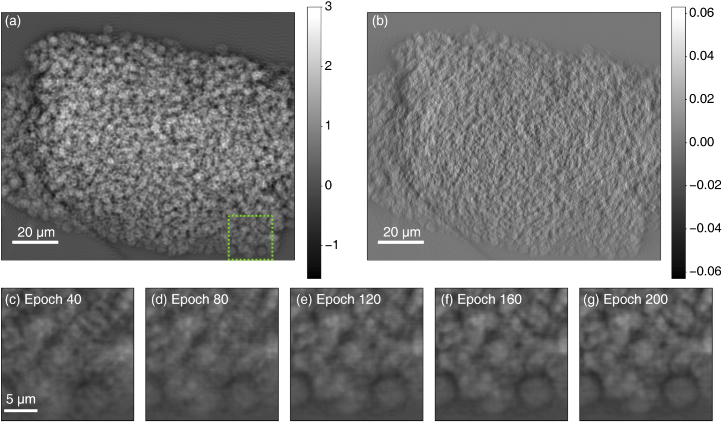 Fig. 9.