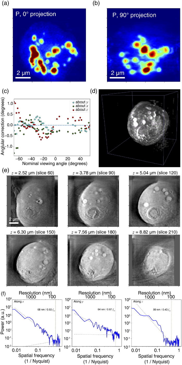 Fig. 12.