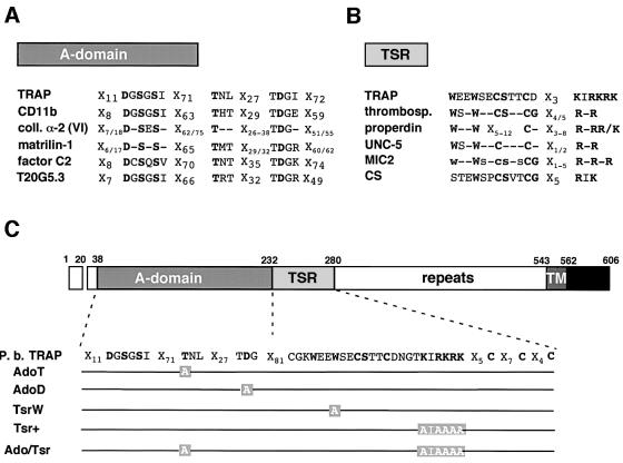 graphic file with name cdf130f1.jpg