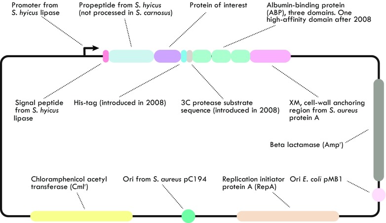 Fig. 3