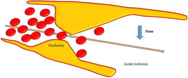 Fig. 3.